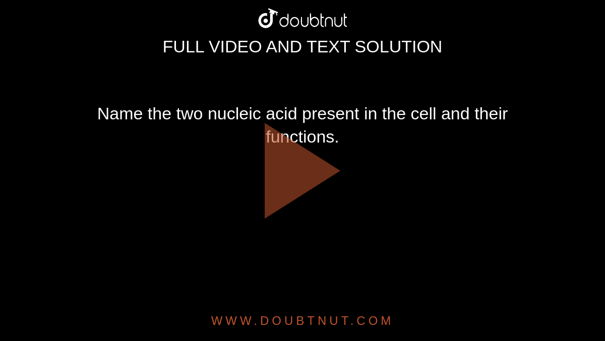 Name the two nucleic acid present in the cell and their functions.