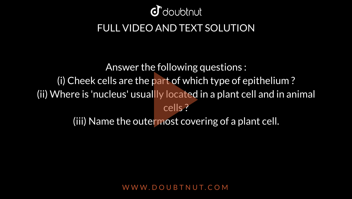 Answer the following questions : (i) Cheek cells are the part of which type  of epithelium ? (ii) Where is 'nucleus' usuallly located in a plant cell  and in animal cells ? (