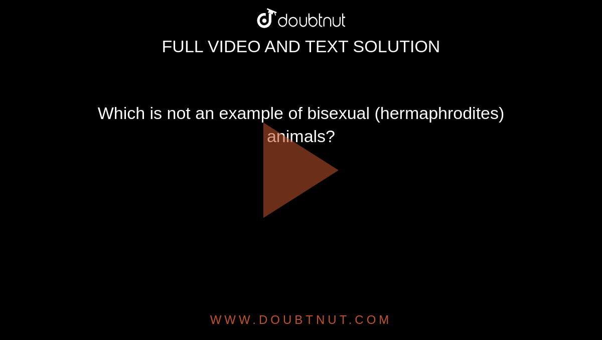 Which is not an example of bisexual (hermaphrodites) animals?