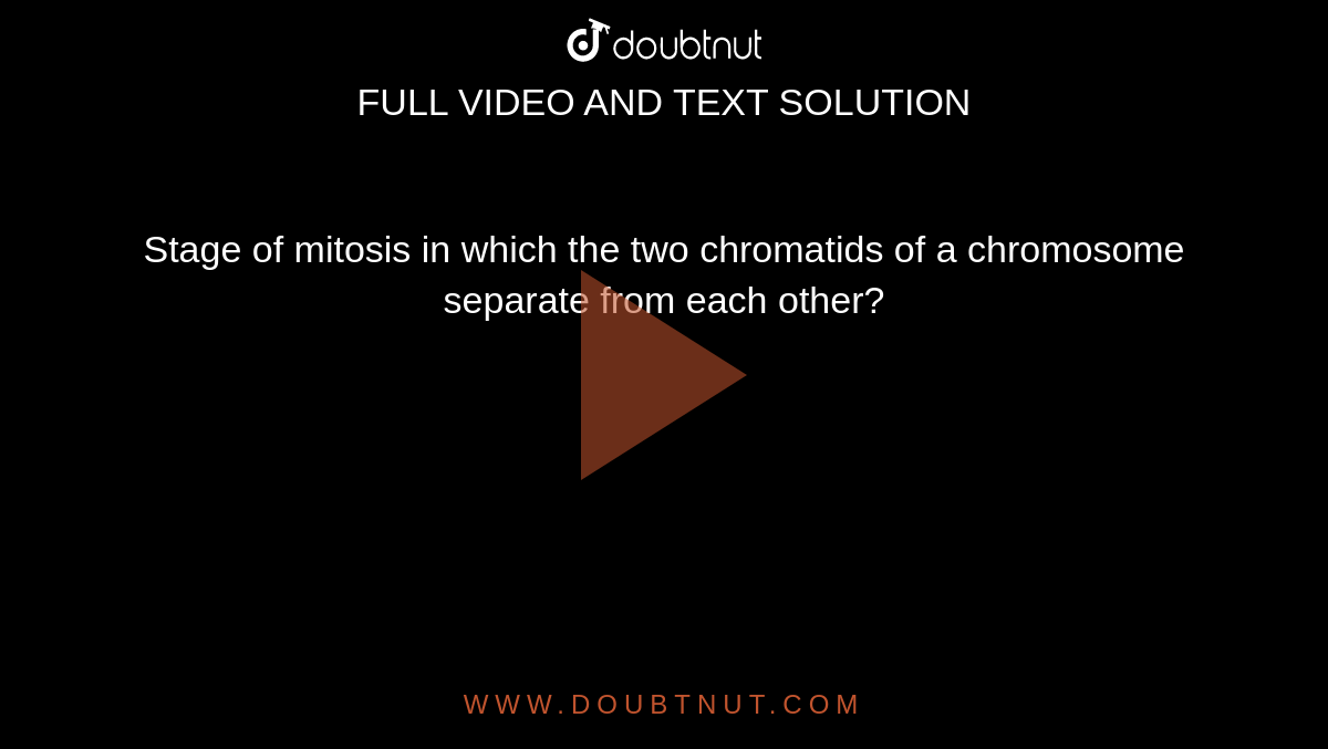 Stage of mitosis in which the two chromatids of a chromosome separate from each other?