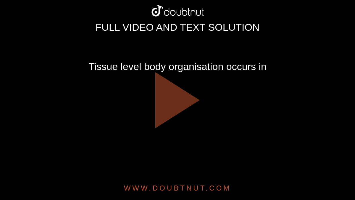 Tissue level body organisation occurs in 