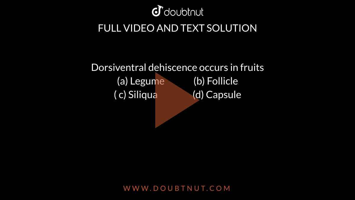 Dorsiventral dehiscence occurs in fruits  <br> (a) Legume `"     "` (b) Follicle <br> ( c) Siliqua `"       "` (d) Capsule 