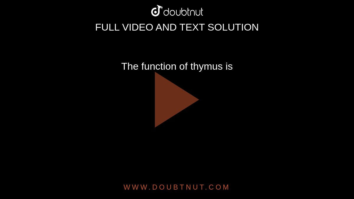 The function of thymus is 