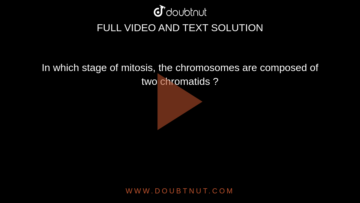 In which stage of mitosis, the chromosomes are composed of two chromatids ?