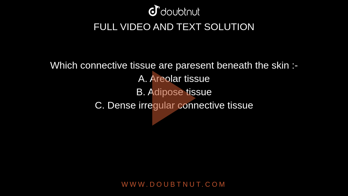 Which connective tissue are paresent beneath the skin :-  <br>  A. Areolar tissue <br> B.  Adipose tissue <br> C. Dense irregular connective tissue 