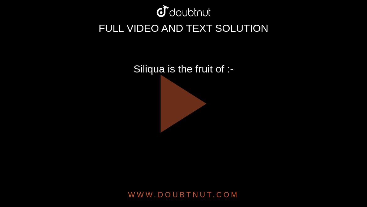 Siliqua is the fruit of :-