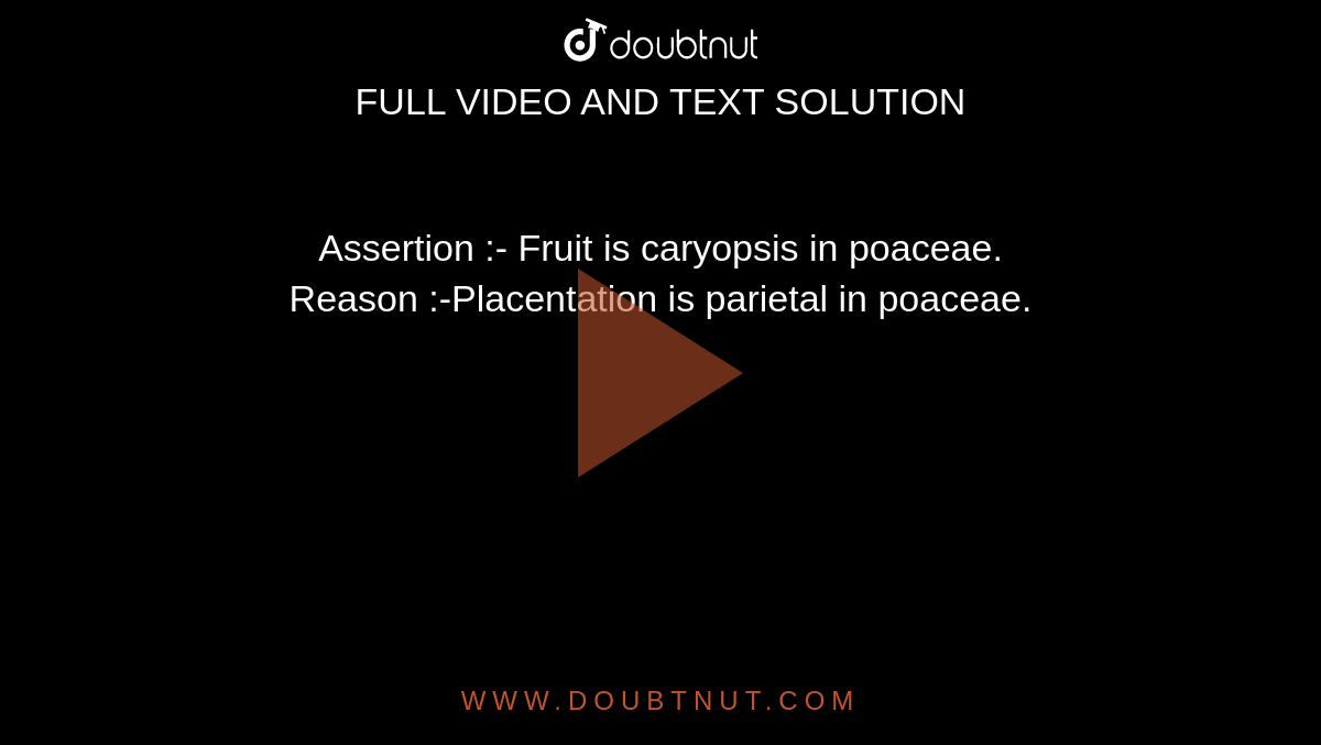 Assertion :- Fruit is caryopsis in poaceae. <br> Reason :-Placentation is parietal in poaceae. 