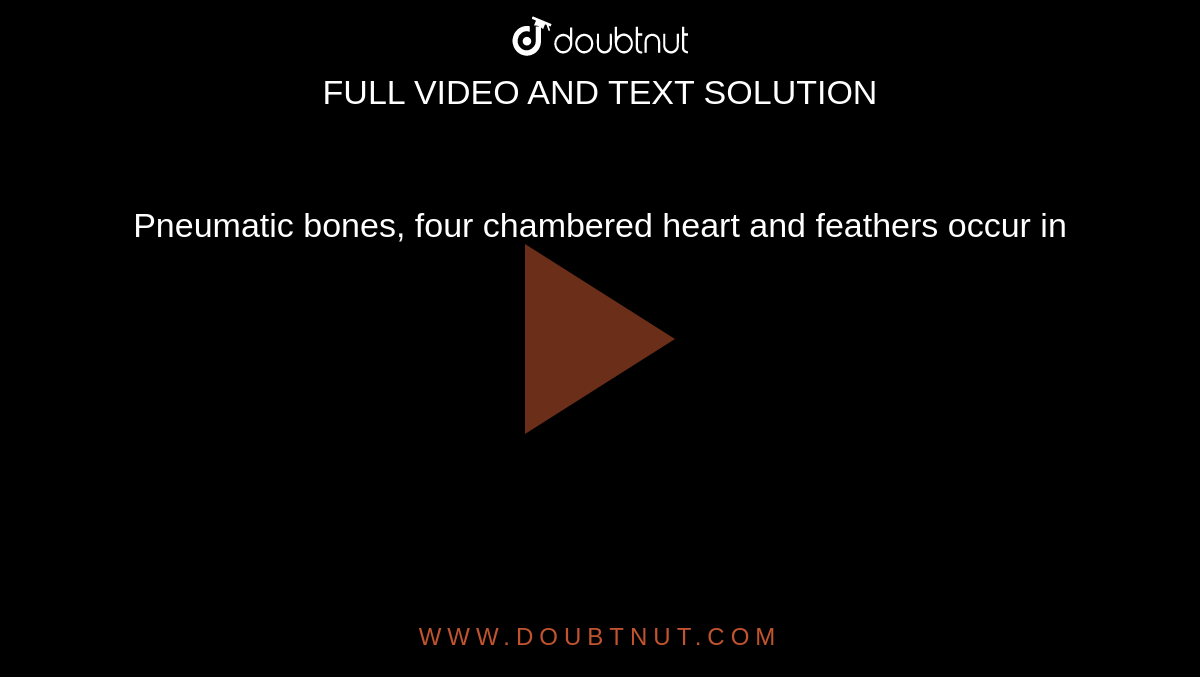 Pneumatic bones, four chambered heart and feathers occur in