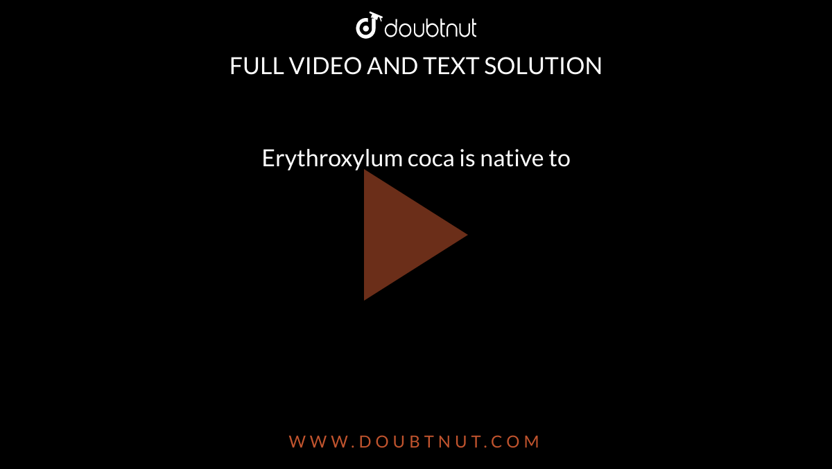 Erythroxylum coca is native to 