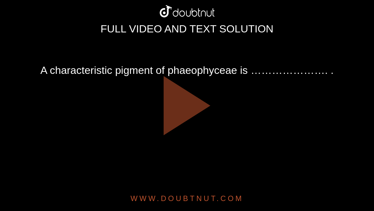 A characteristic pigment of phaeophyceae is …………………. .
