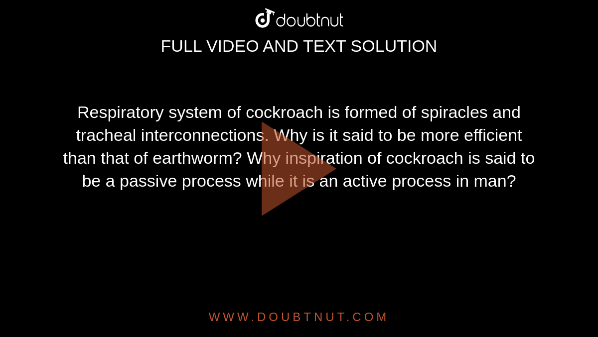 Respiratory system of cockroach is formed of spiracles and tracheal interconnections. Why is it said to be more efficient than that of earthworm? Why inspiration of cockroach is said to be a passive process while it is an active process in man?