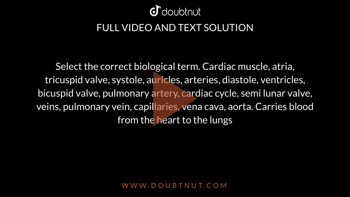 Select the correct biological term. Cardiac muscle, atria, tricuspid valve, systole, auricles, arteries, diastole, ventricles, bicuspid valve, pulmonary artery, cardiac cycle, semi lunar valve, veins, pulmonary vein, capillaries, vena cava, aorta.
Carries blood from the heart to the lungs