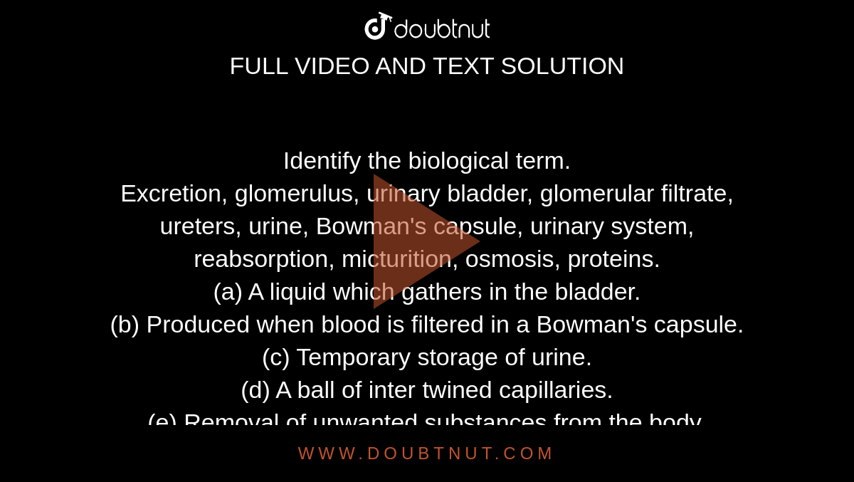 Identify the biological term. Excretion, glomerulus, urinary bladder