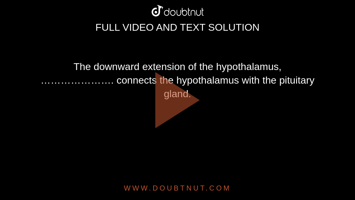 The downward extension of the hypothalamus, …………………. connects the hypothalamus with the pituitary gland.
