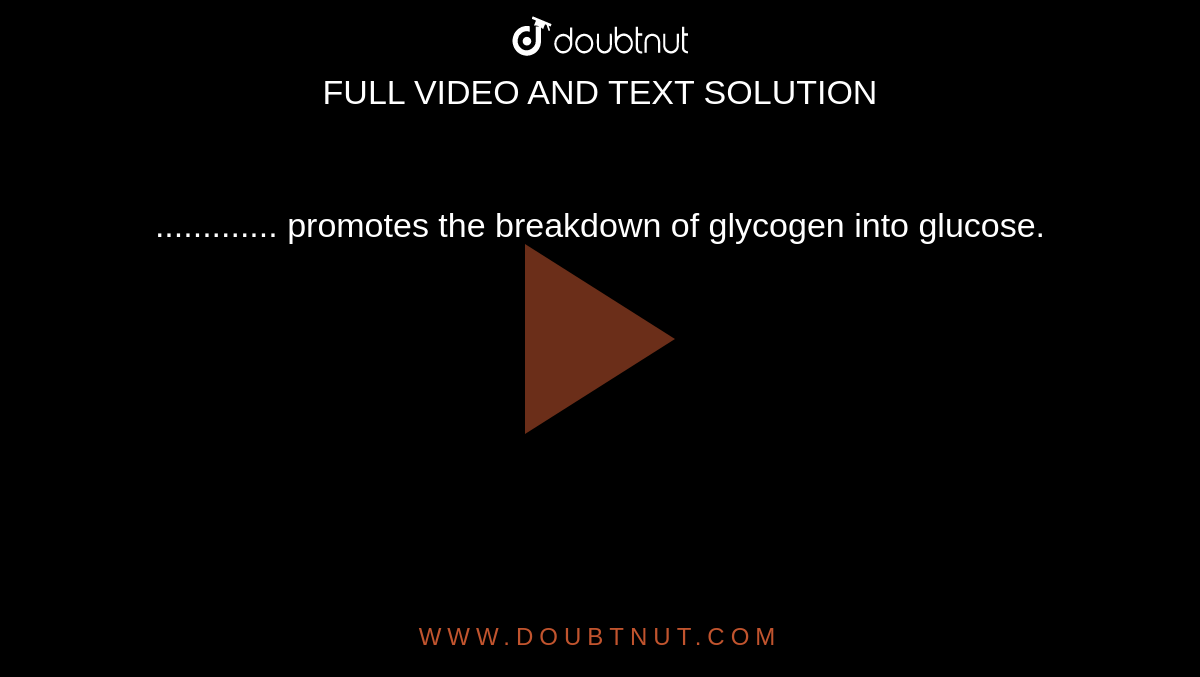 ............. promotes the breakdown of glycogen into glucose.