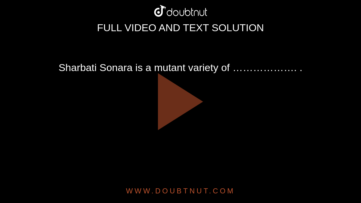 Sharbati Sonara is a mutant variety of ………………. .