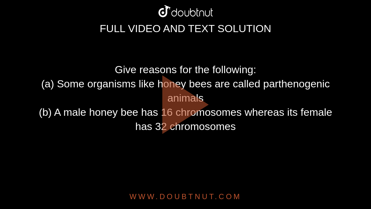 Give reasons for the following: (a) Some organisms like honey bees are  called parthenogenic animals (b) A male honey bee has 16 chromosomes  whereas its female has 32 chromosomes