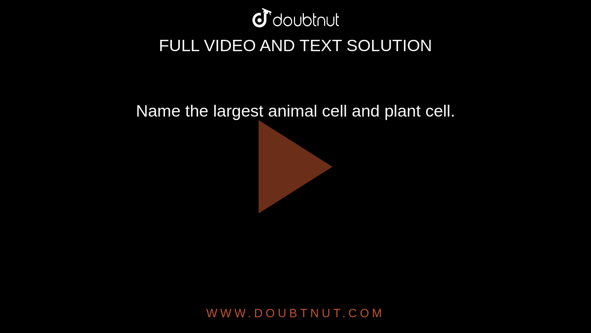 Name the largest animal cell and plant cell. Name the largest animal cell and plant cell.