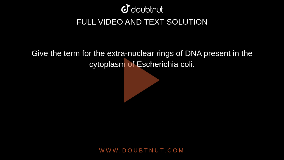 Give the term for the extra-nuclear rings of DNA present in the cytoplasm of Escherichia coli.
