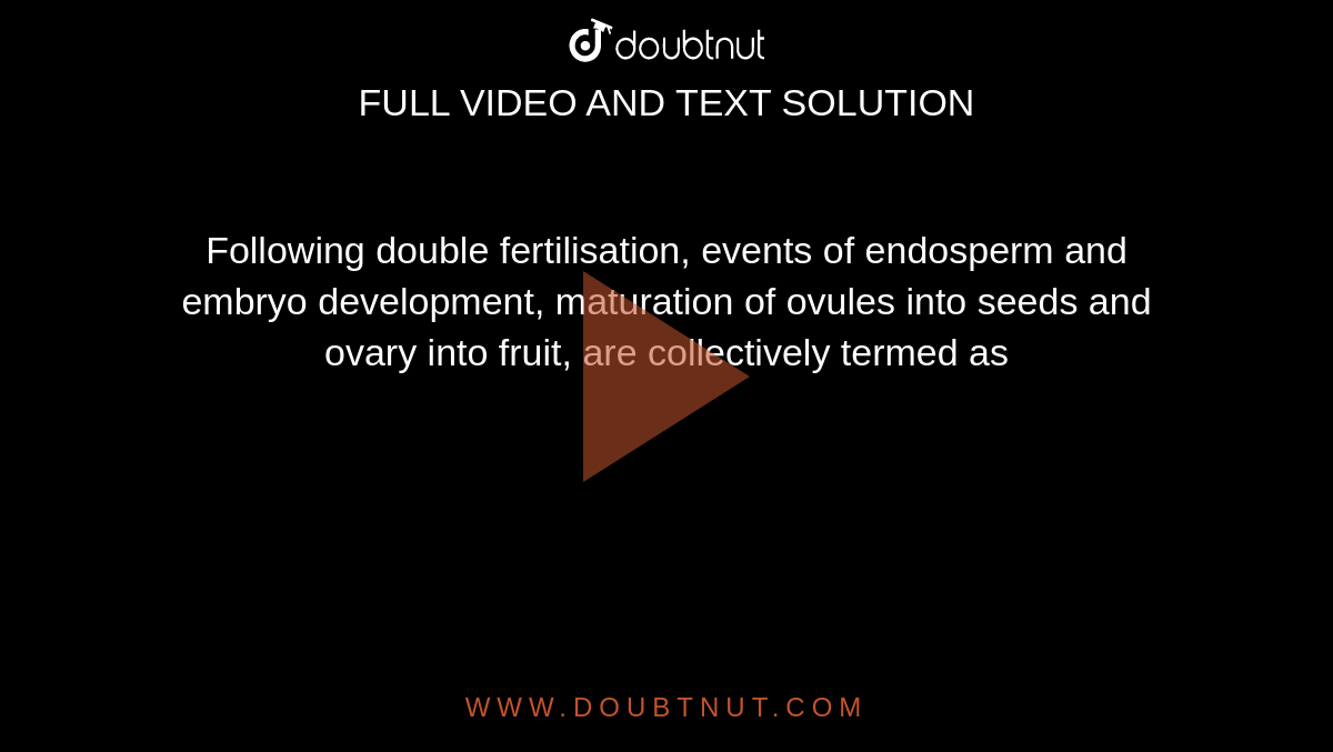 Following double fertilisation, events of endosperm and embryo development, maturation of ovules into seeds and ovary into fruit, are collectively termed as 