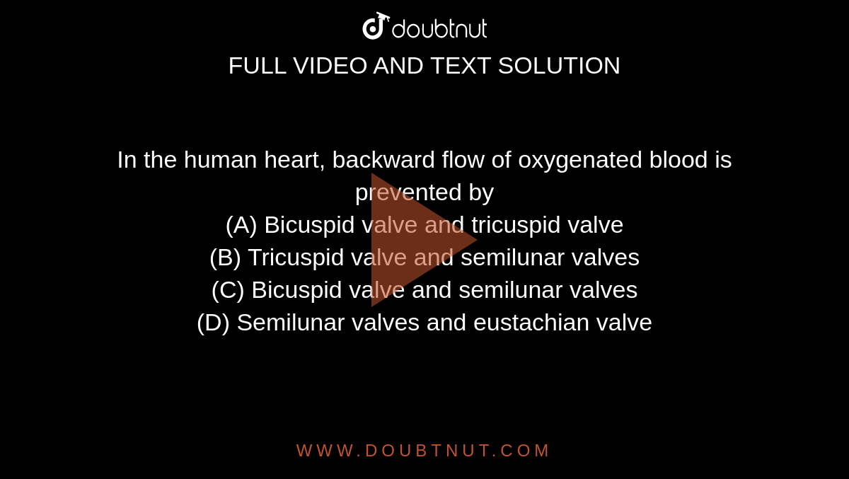 In the human heart, backward flow of
oxygenated blood is prevented by<br>
(A) Bicuspid valve and tricuspid
valve<br>
(B) Tricuspid valve and semilunar
valves<br>
(C) Bicuspid valve and semilunar
valves<br>
(D) Semilunar valves and
eustachian valve
