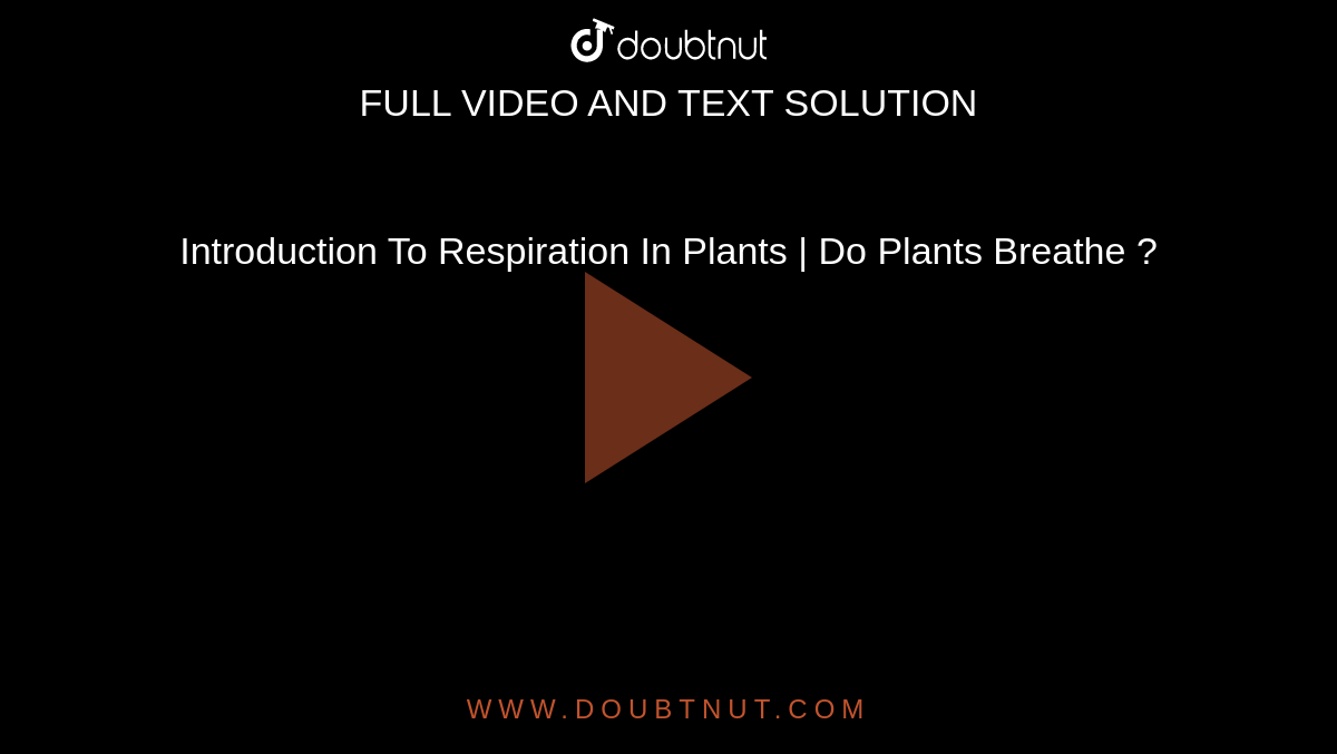 Introduction To Respiration In Plants | Do Plants Breathe ?