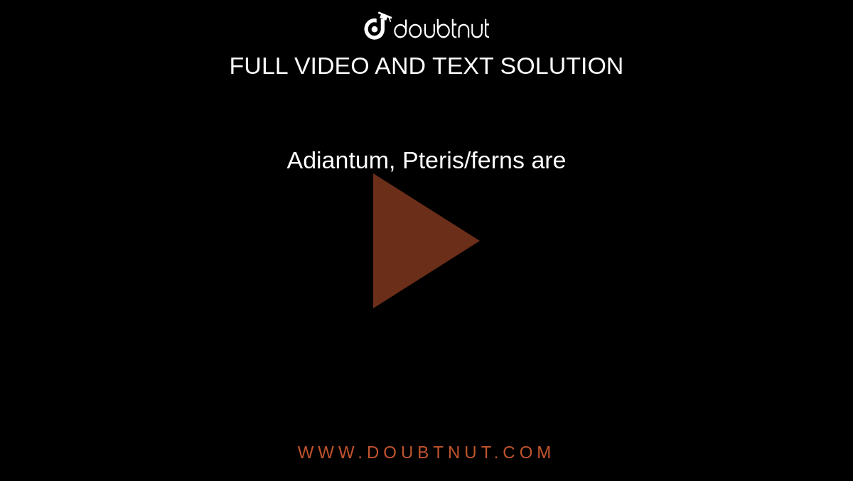 Adiantum, Pteris/ferns are 