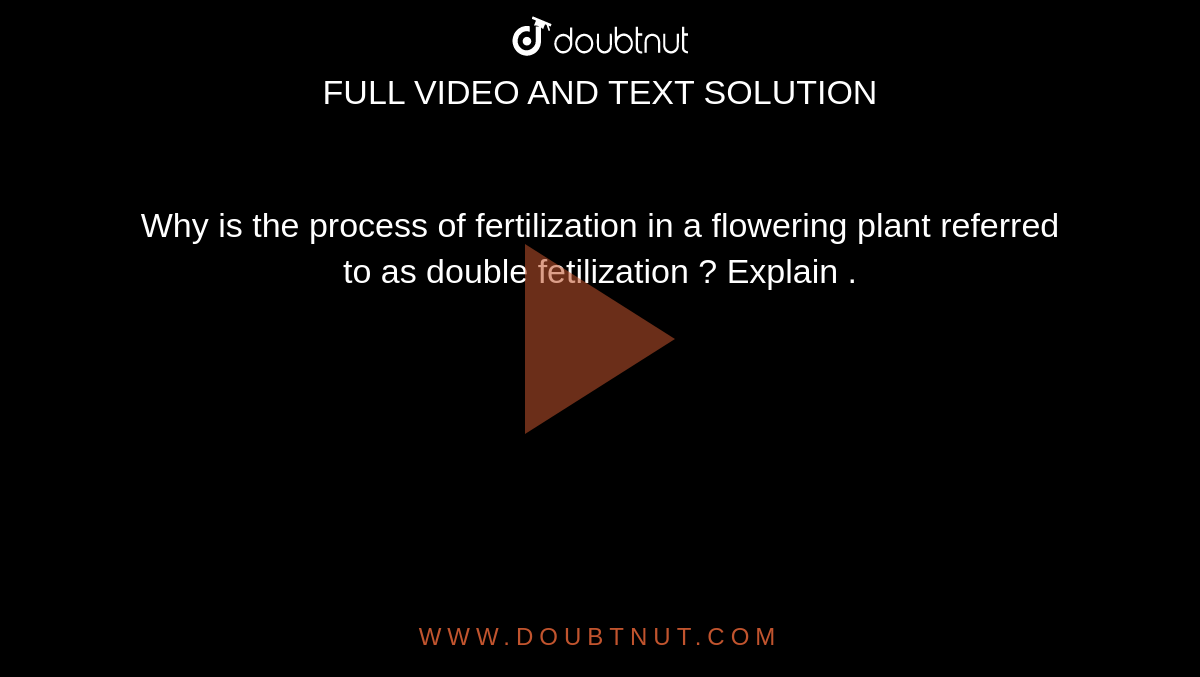 Why is the process of fertilization in a flowering plant referred to as double fetilization ? Explain . 