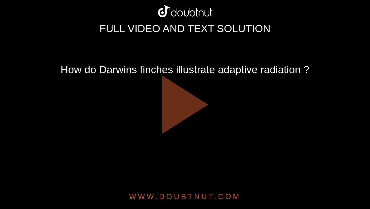 darwins finches adaptive radiation