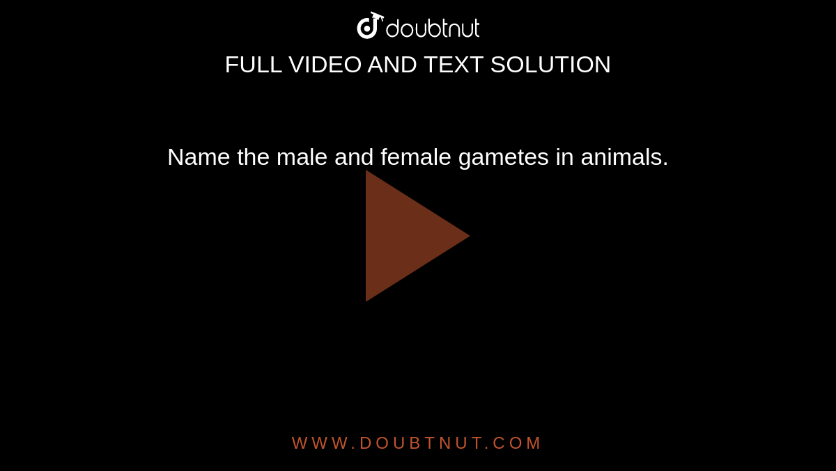 Name the male and female gametes in animals. Name the male and female gametes in animals.