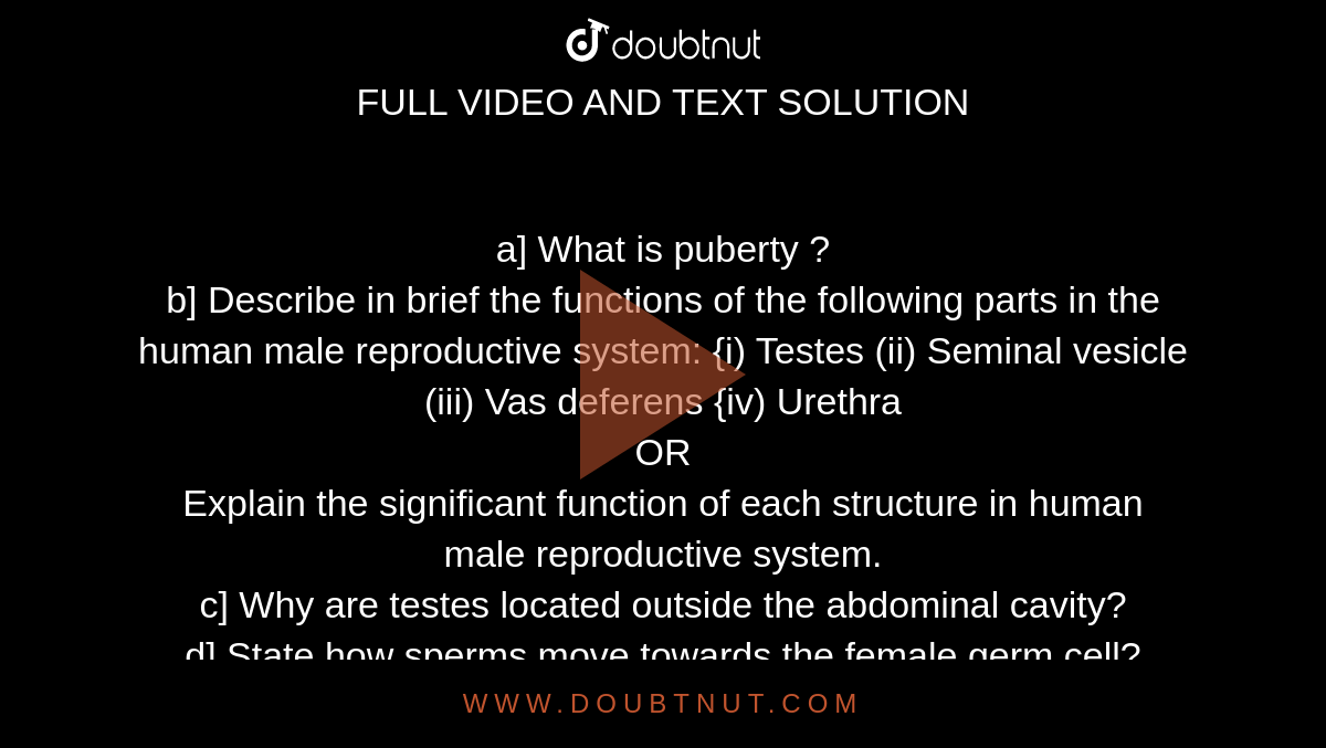 Describe in brief the functions of the following parts in the human male  reproductive system : (i) Testes (ii) Seminal vesicle (iii) Vas deferens  (iv) urethra
