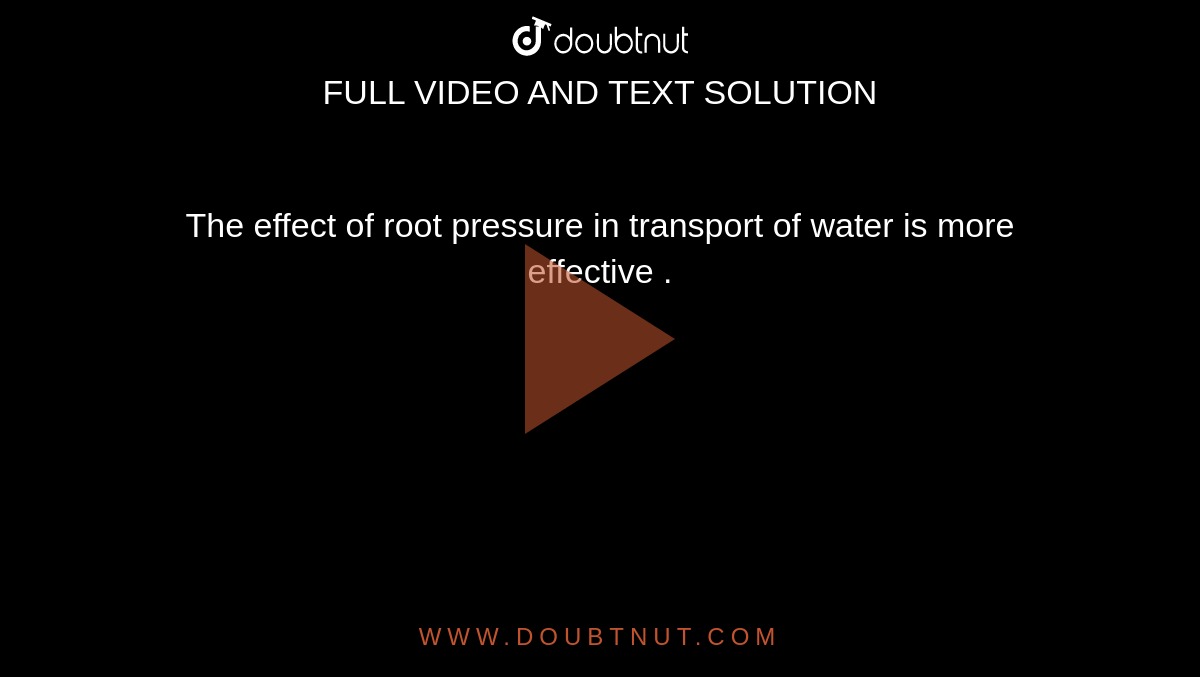 The effect  of root pressure in transport  of water is more  effective .