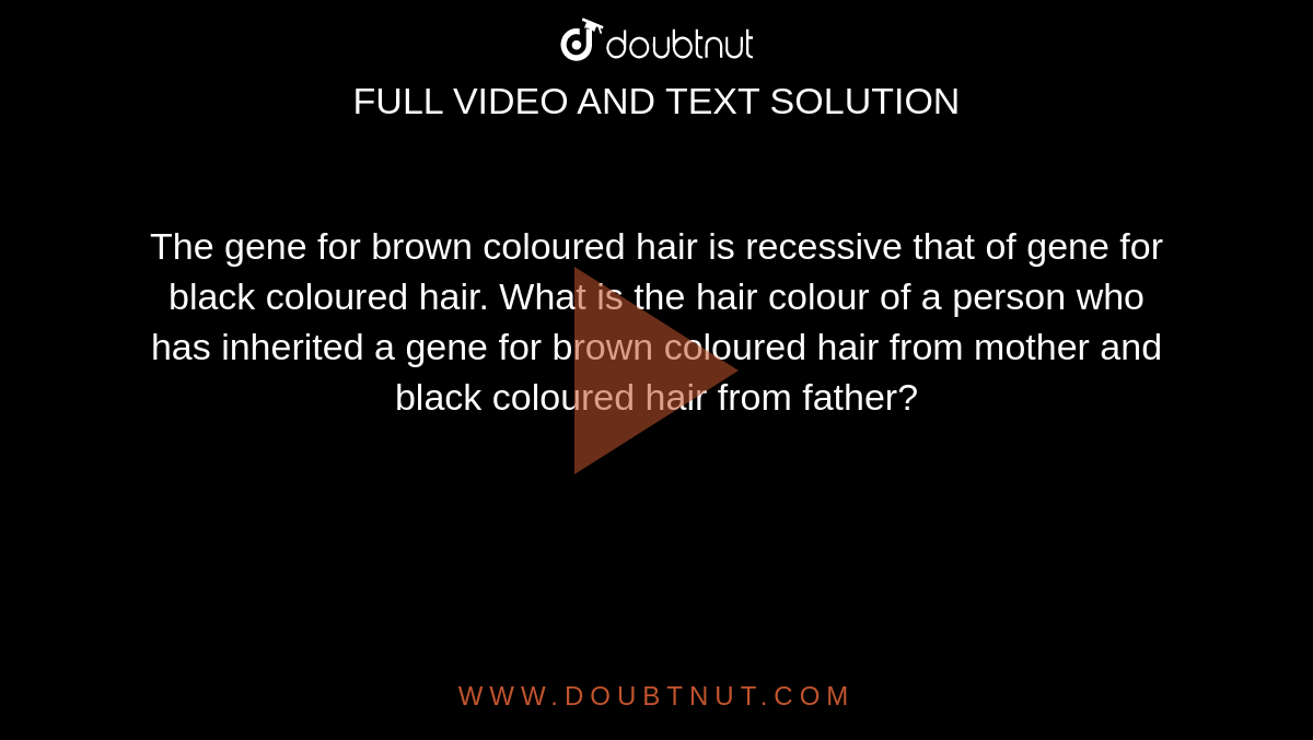 The gene for brown coloured hair is recessive that of gene for black  coloured hair. What is the hair colour of a person who has inherited a gene  for brown coloured hair