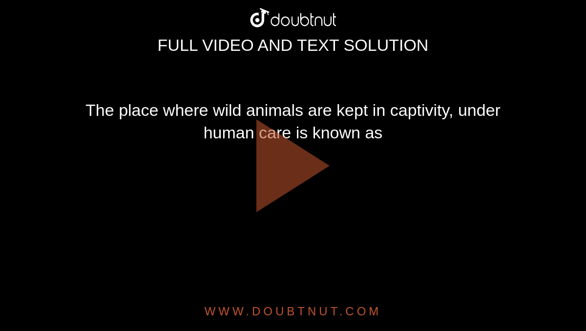 The place where wild animals are kept in captivity, under human care is  known as