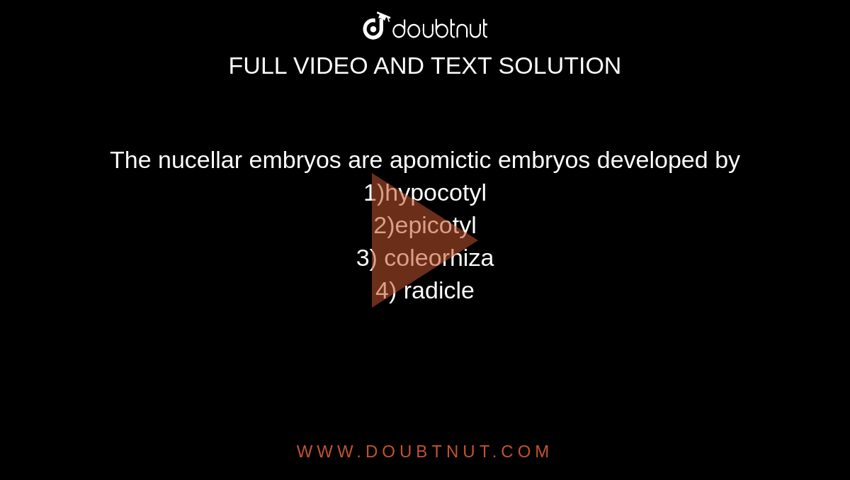 The nucellar embryos are apomictic embryos developed by<br>1)hypocotyl

<br>2)epicotyl
<br>3)

coleorhiza
<br>4)
radicle 