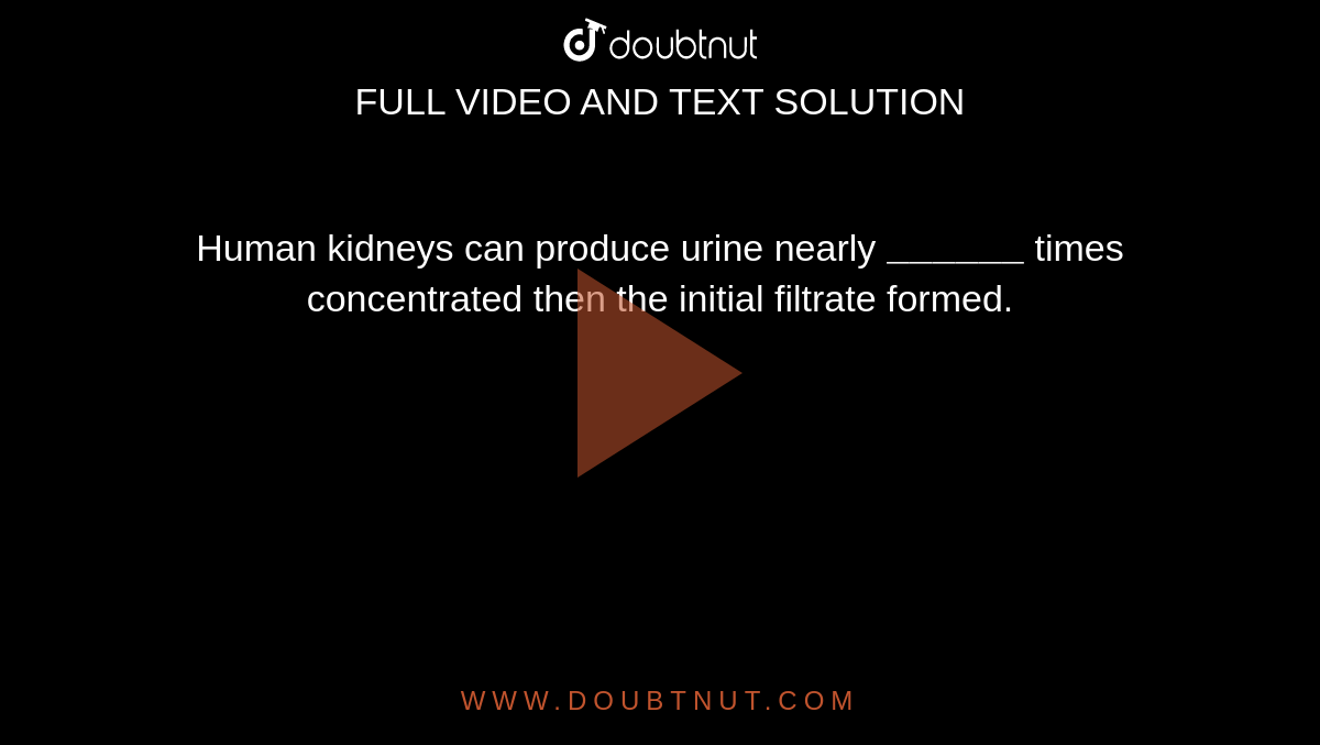 Human kidneys can produce urine nearly `"______"` times concentrated then the initial filtrate formed. 