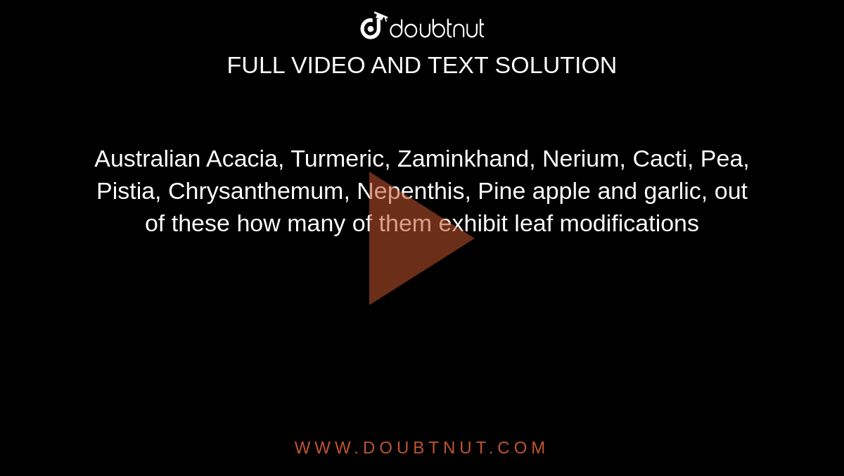 Australian Acacia, Turmeric, Zaminkhand, Nerium, Cacti, Pea, Pistia