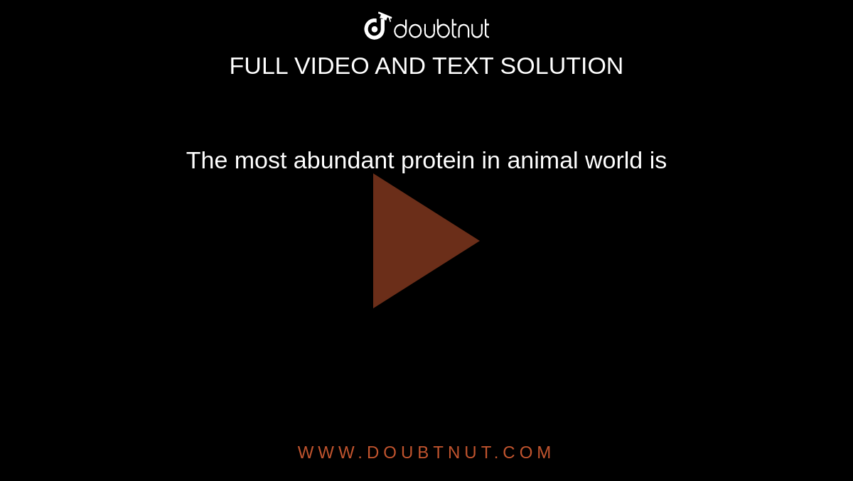The most abundant protein in animal world is