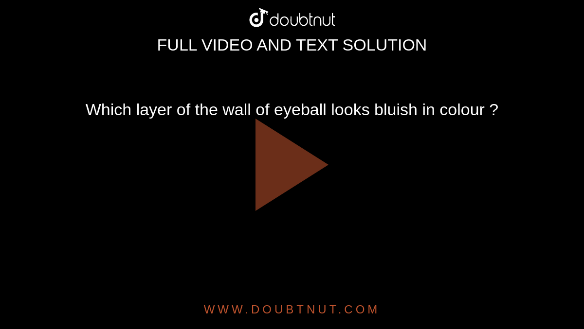Which layer of the wall of eyeball looks bluish in colour ?