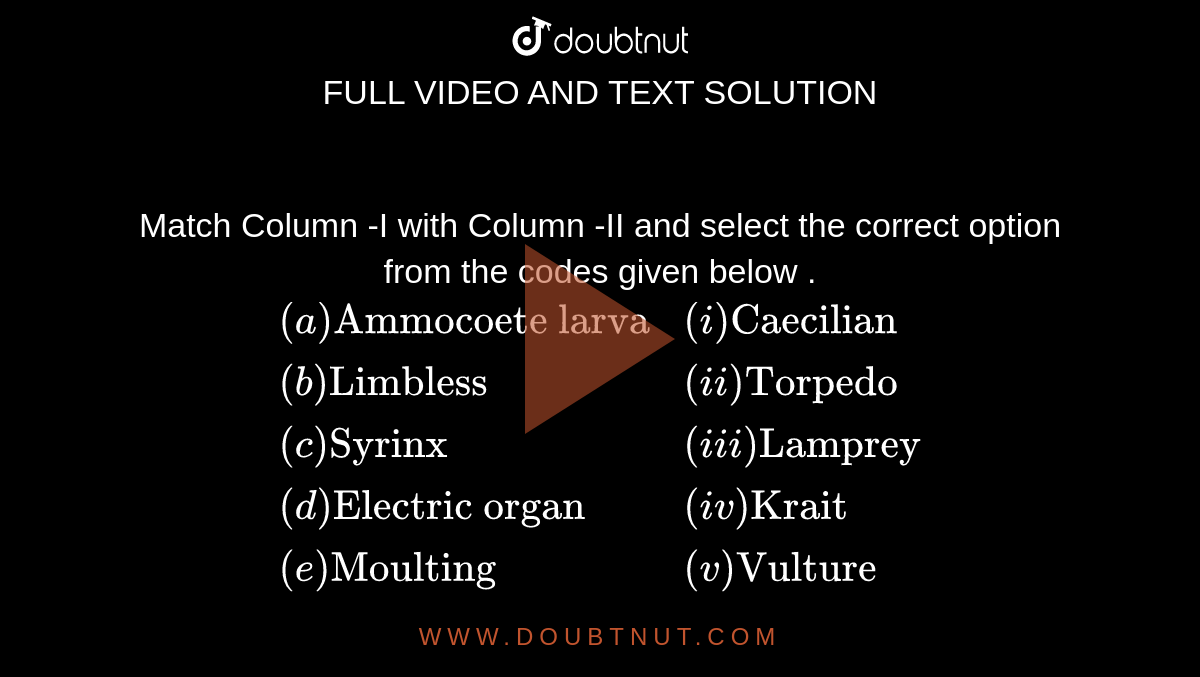 Match Column -I with Column -II and select the correct option from the codes given below . <br> `{:((a)"Ammocoete larva",(i)"Caecilian"),((b)"Limbless",(ii)"Torpedo"),((c )"Syrinx",(iii)"Lamprey"),((d)"Electric organ ",(iv)"Krait"),((e )"Moulting",(v)"Vulture"):}`