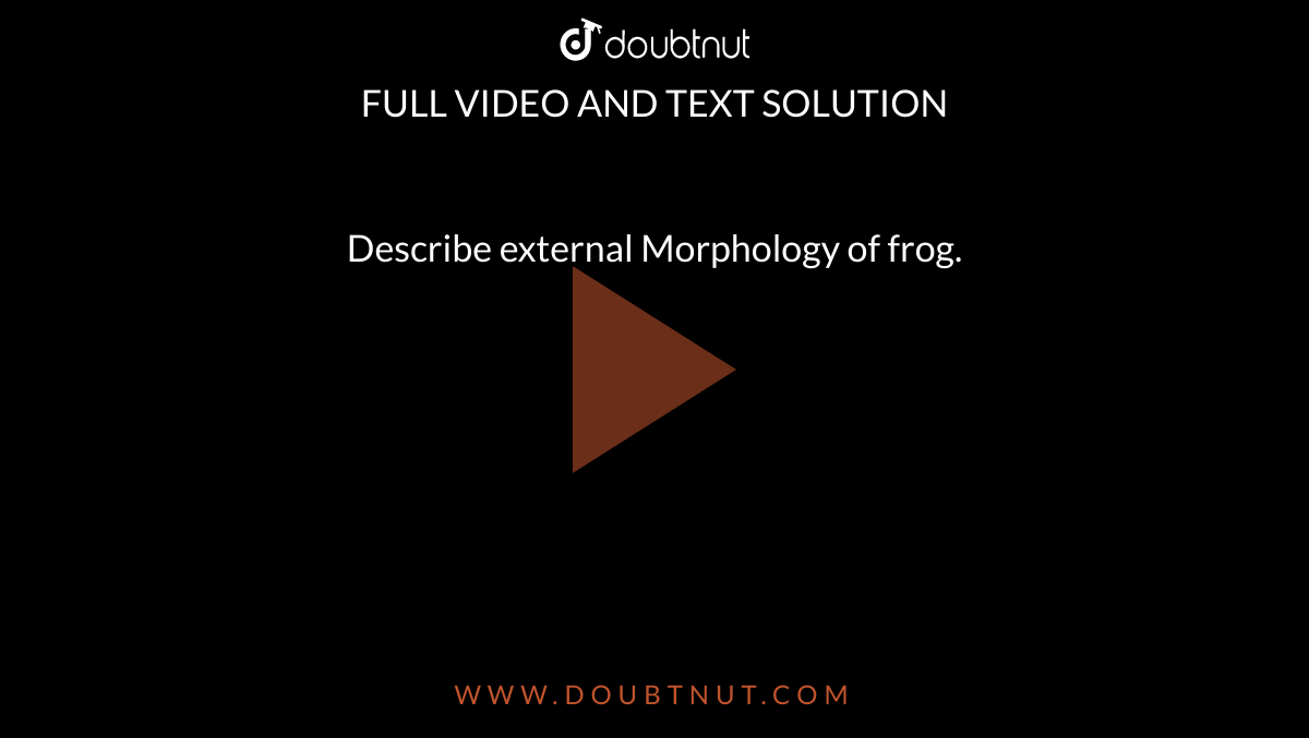 Describe external Morphology of frog.