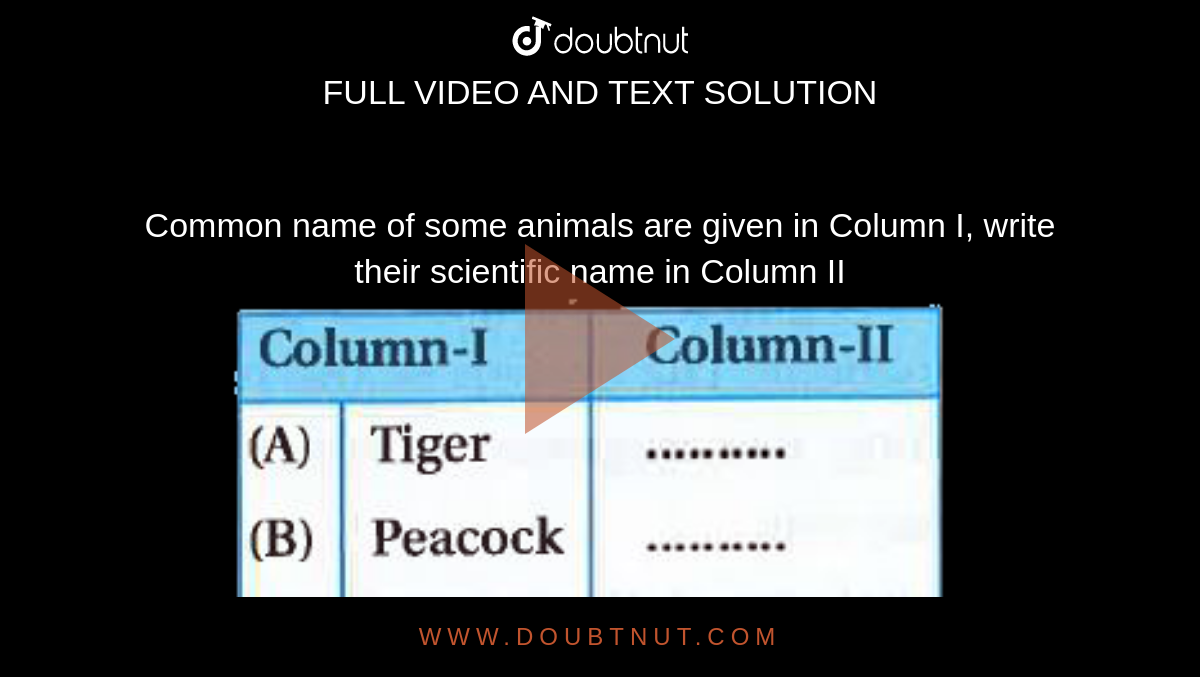 Common name of some animals are given in Column I, write their scientific  name in Column II