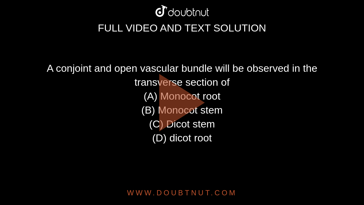 A conjoint and open vascular bundle will be observed in the transverse section of
<br> (A) Monocot root
<br> (B) Monocot stem
<br> (C) Dicot stem
<br> (D) dicot root