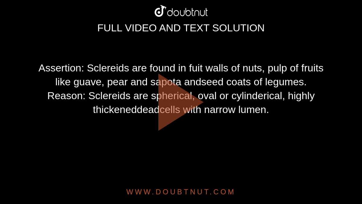 Assertion: Sclereids are found in fuit walls of nuts, pulp of fruits like guave, pear and sapota andseed coats of legumes. <br> Reason: Sclereids are spherical, oval or cylinderical, highly thickeneddeadcells with narrow lumen.