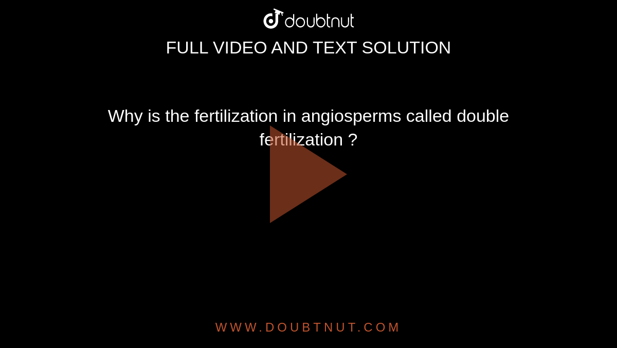 Why is the fertilization in angiosperms called double fertilization ?