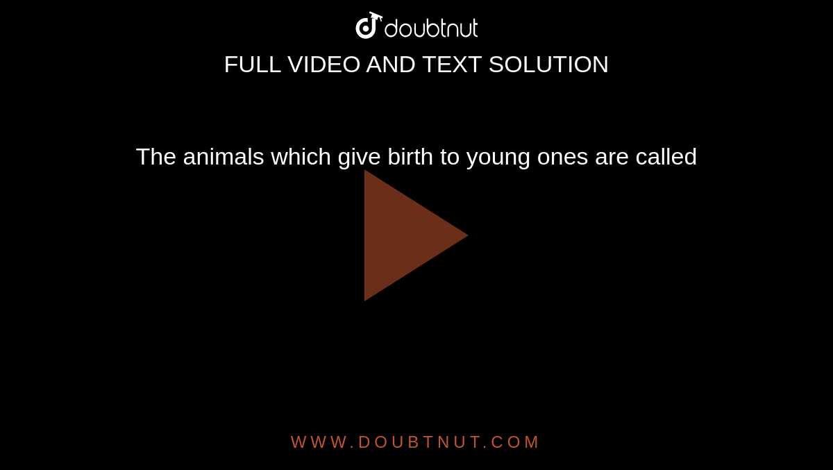 The animals which give birth to young ones are called The animals which give birth to young ones are called