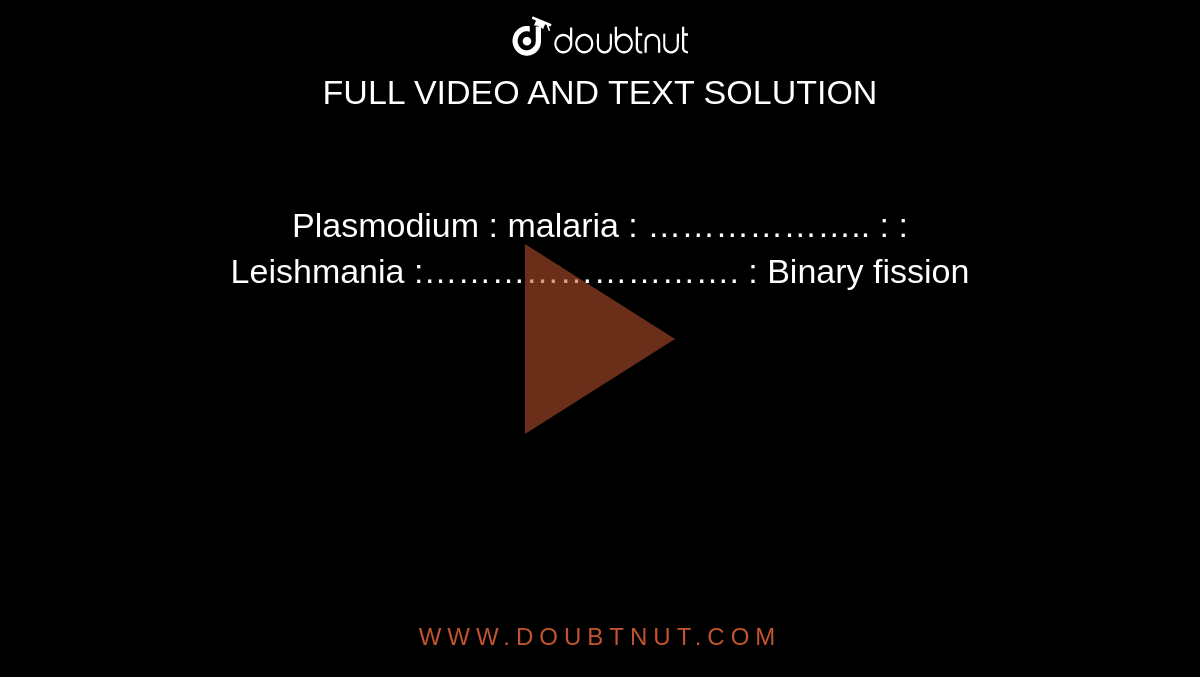 binary fission in leishmania