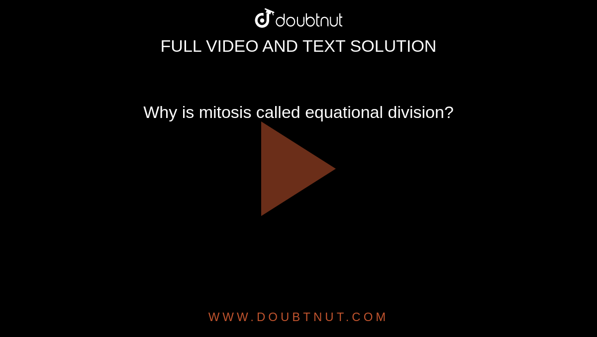 why-is-mitosis-called-equational-division