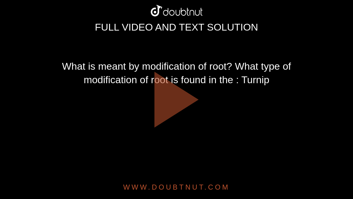 What is meant by modification of root? What type of modification of root is found in the : Turnip