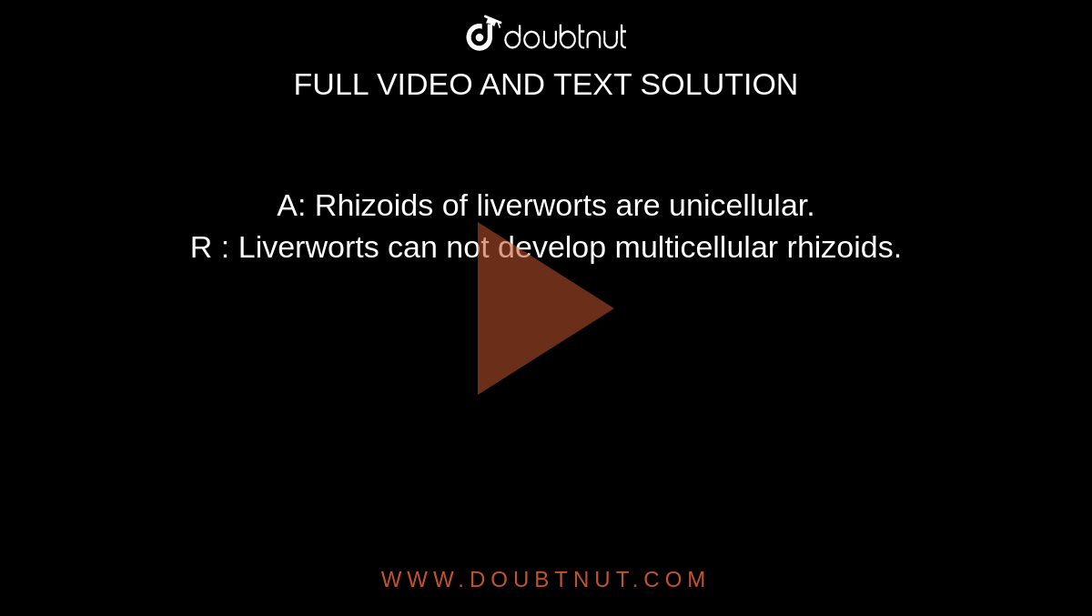 A: Rhizoids of liverworts are unicellular. <br> R : Liverworts can not develop multicellular rhizoids.